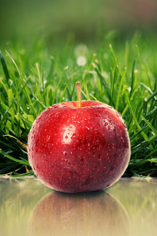 Красное яблоко обои для IPhone