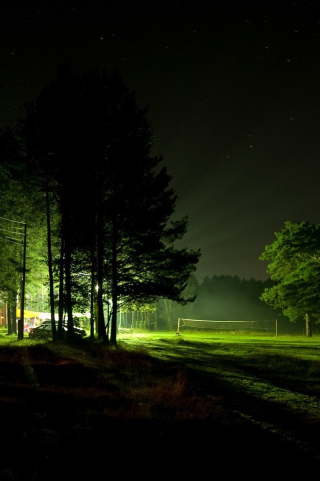Свет в ночном лесу обои для IPhone