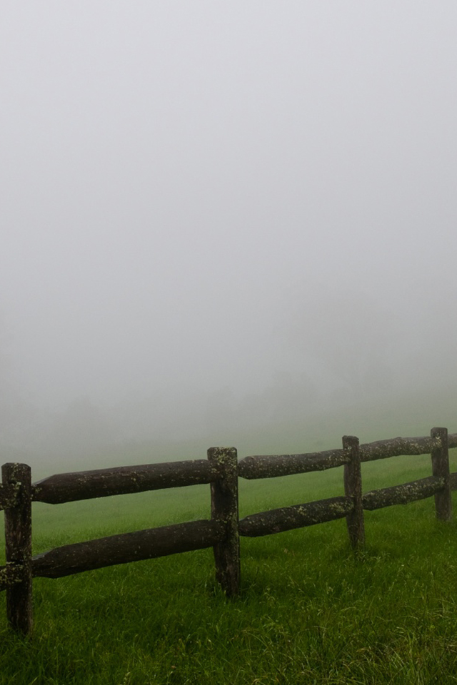 Утренний туман на ферме обои для IPhone